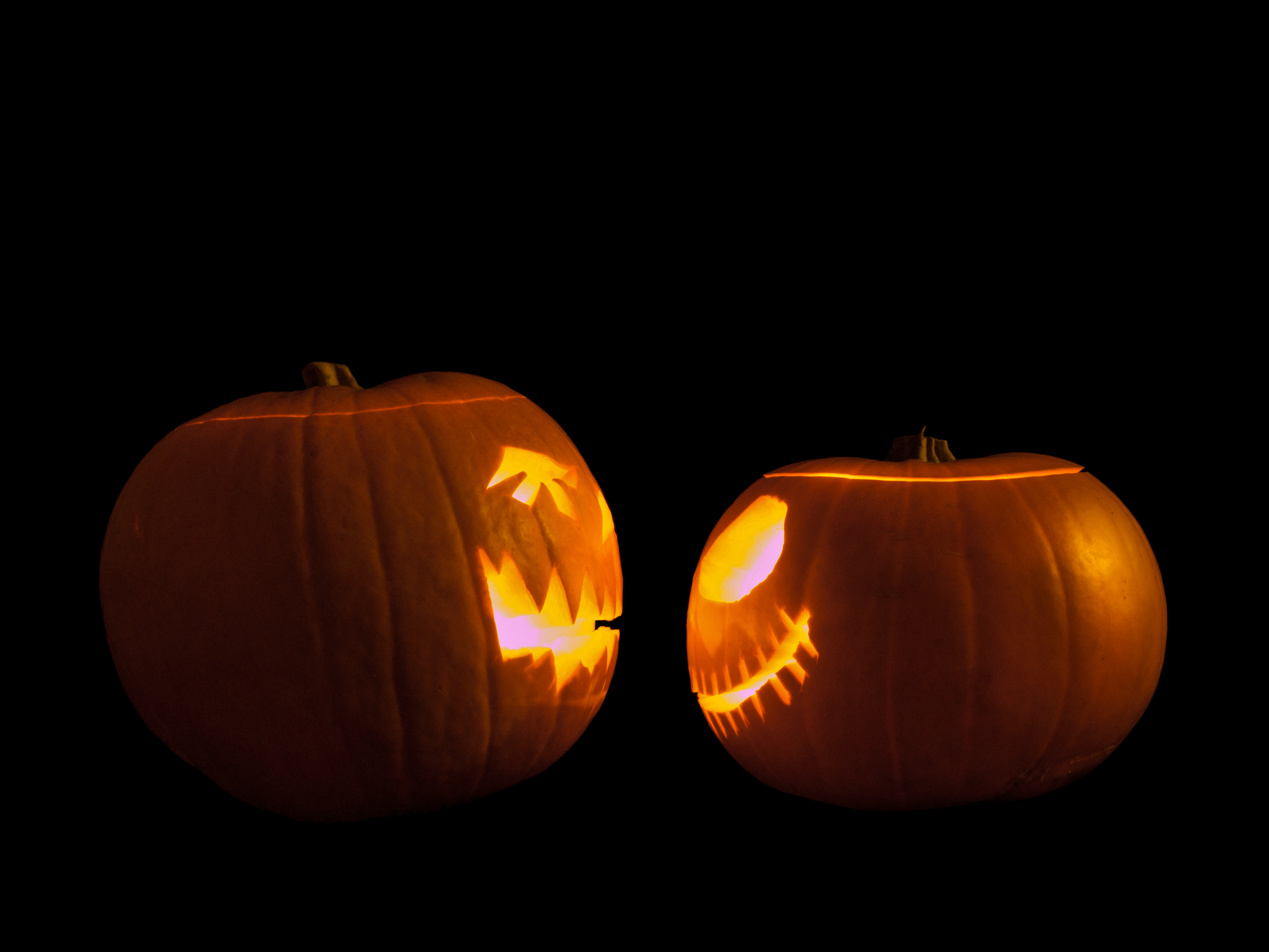CHOCKAVSLÖJANDET: Sanningen bakom Halloween – den ultimata fällan