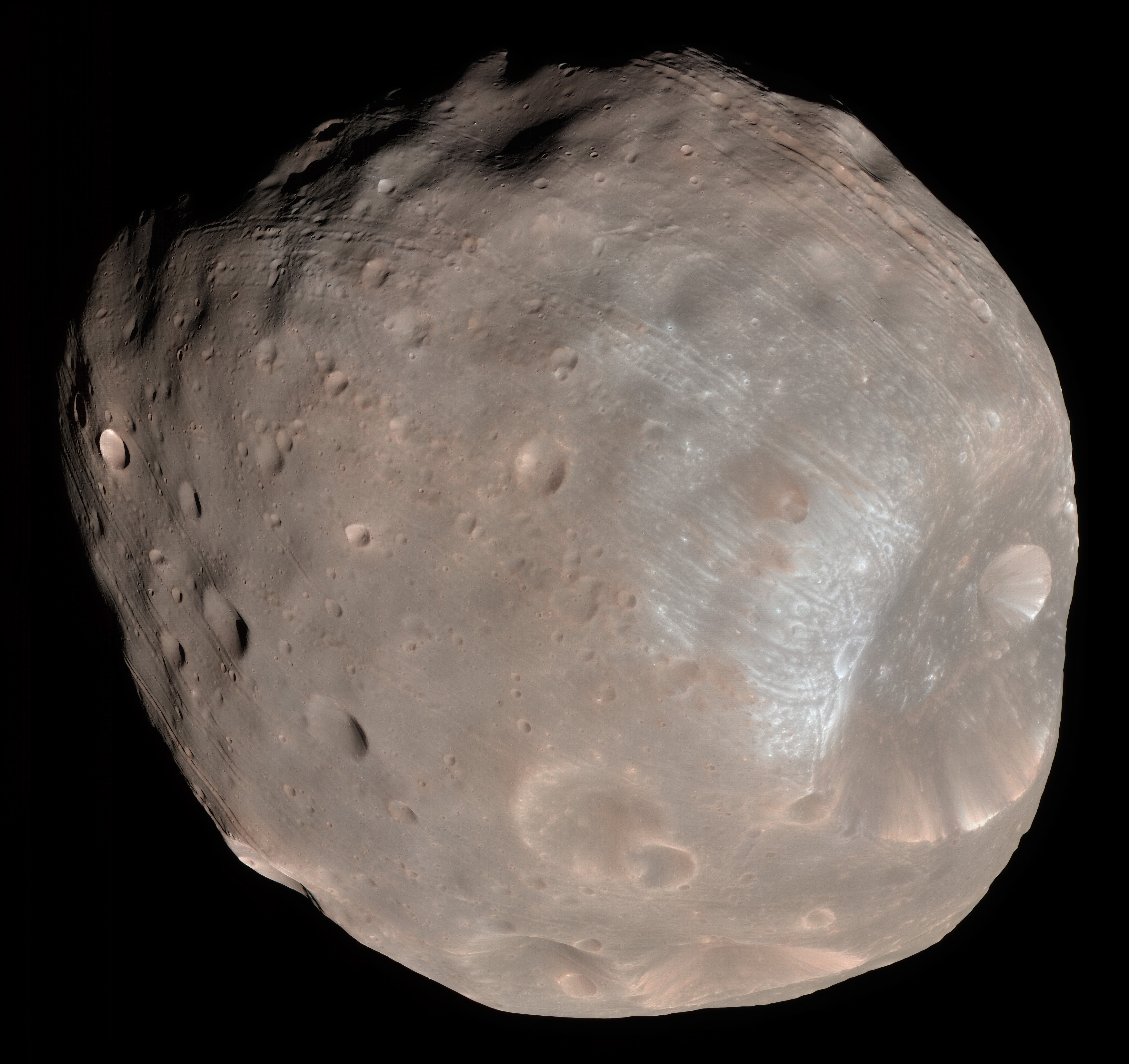 JAPANSKA MARS-SUCCÉN: Hittade svenskt skogsbär på Mars – eller är det livsfarligt rymdgift?