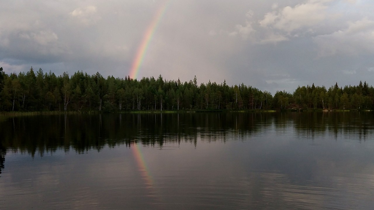 Regnbåge över vatten och skog