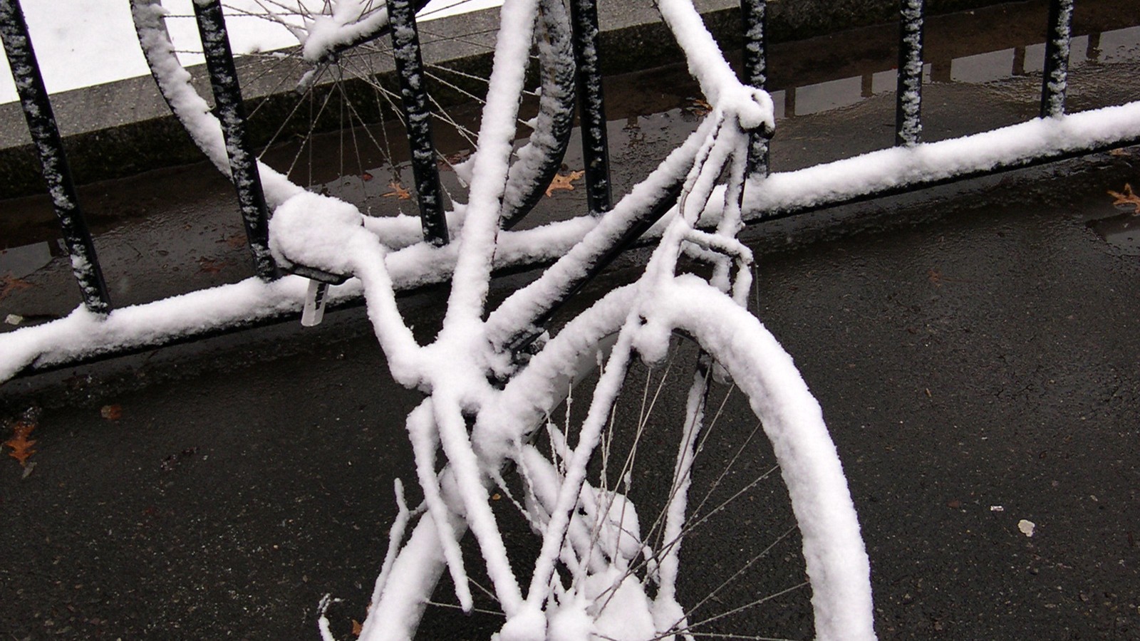 Kommunen bokför cykelturer som aldrig skedde