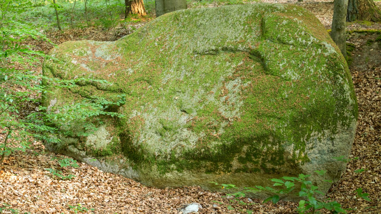 Jätteblock i skogen